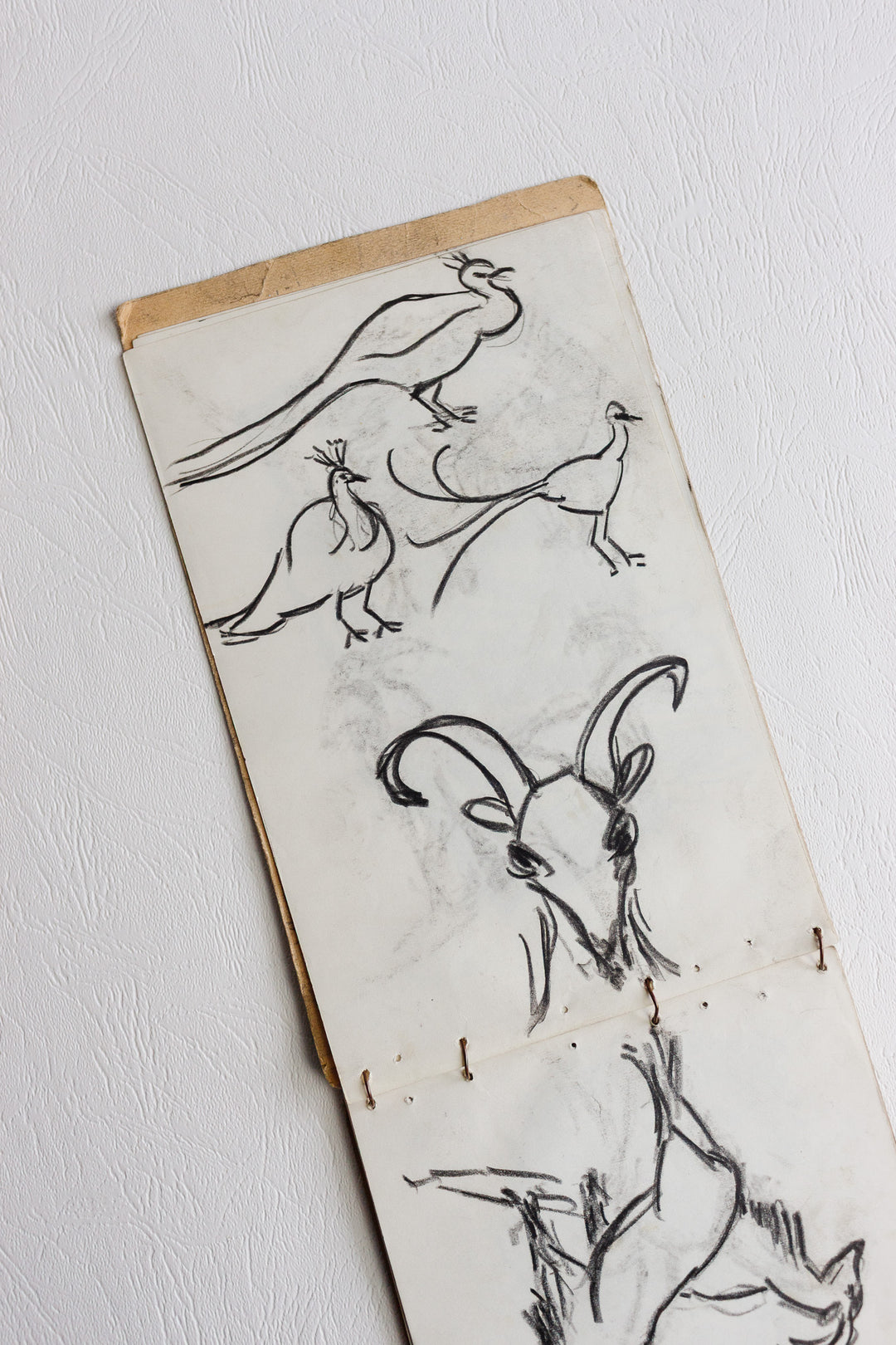 sketchpad by m. Auguste de marseille