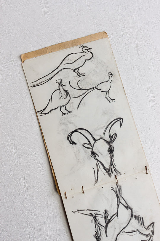 sketchpad by m. Auguste de marseille