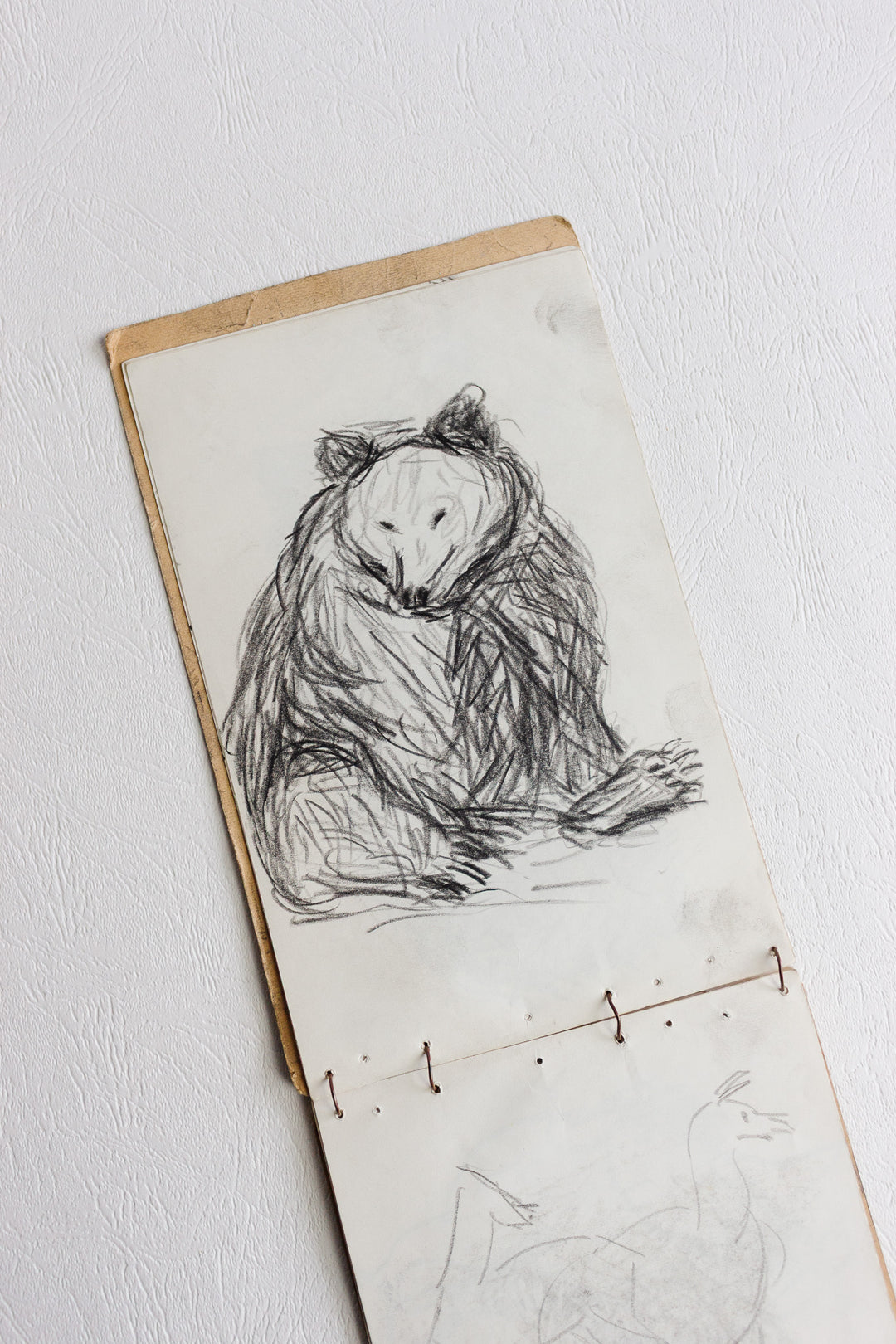 sketchpad by m. Auguste de marseille