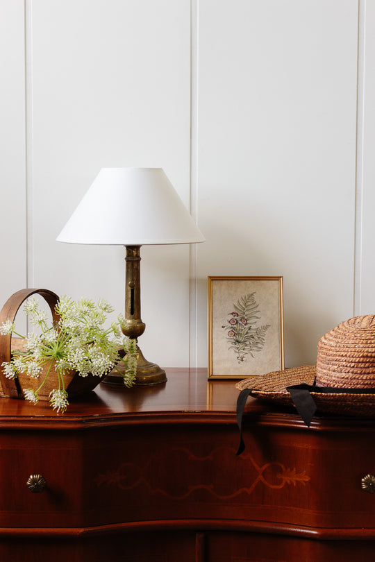 antique french signed hand coloured engraving