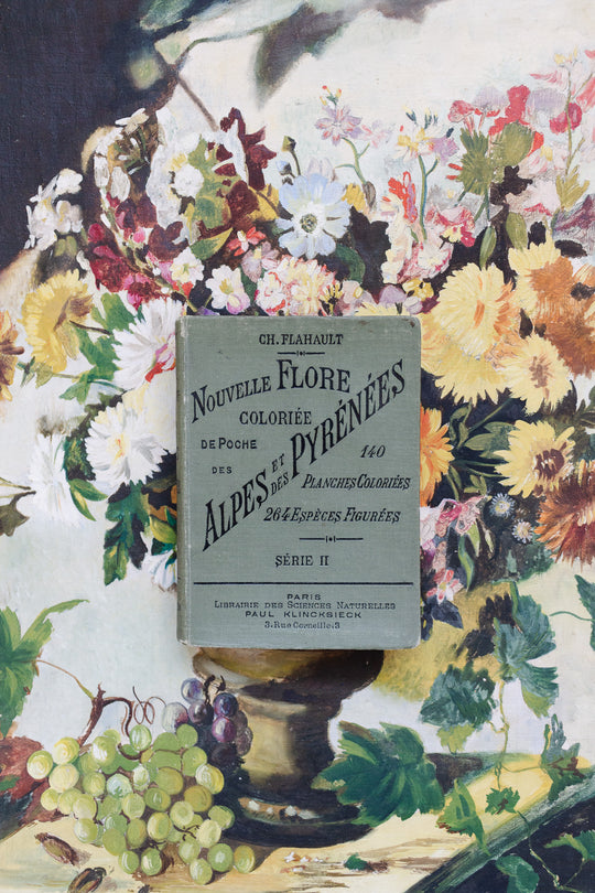 rare "nouvelle flore coloriée" alpes et les pyrénées