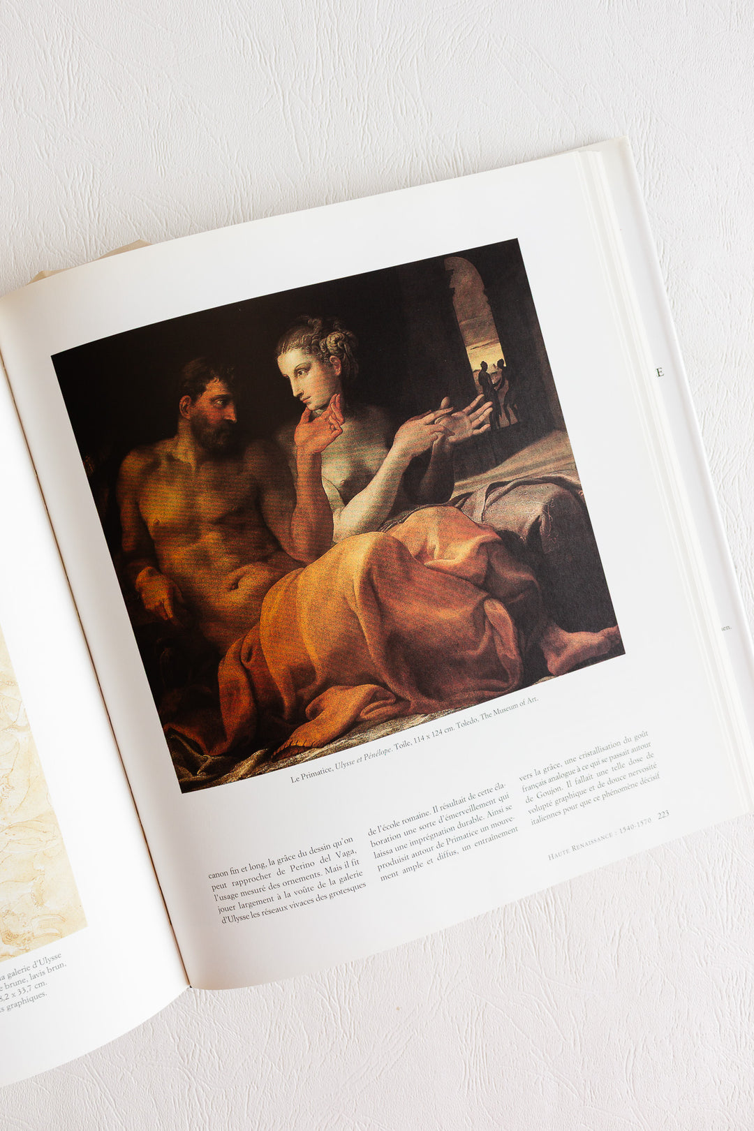"french art: the renaissance 1430-1620" vintage book