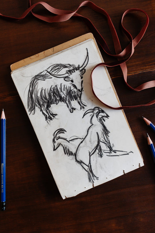 sketchpad by m. Auguste de marseille