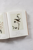 Audubon's birds of North America vintage book