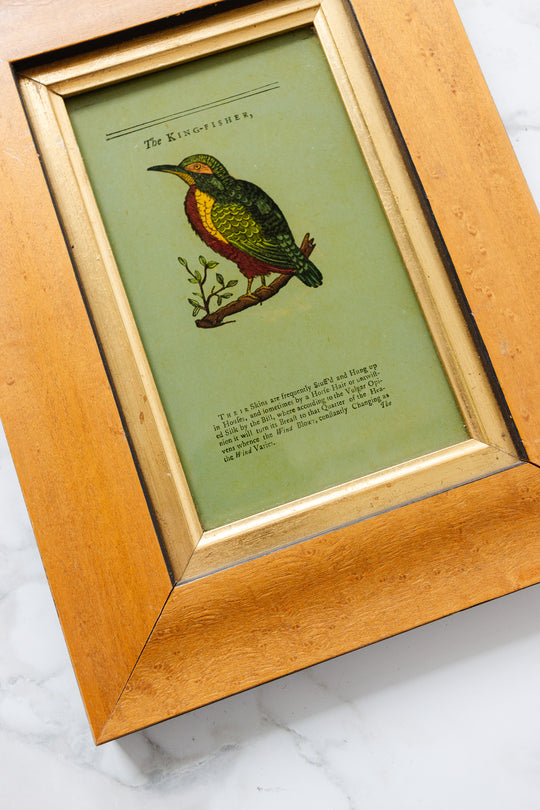 "The kingfisher" vintage English glass painting