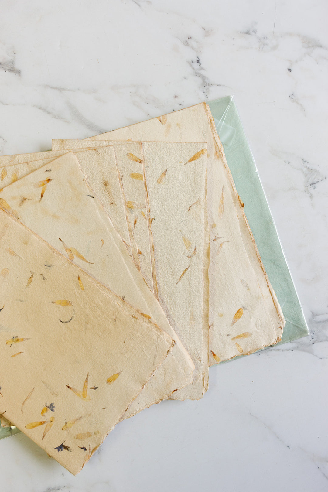 limited edition french "flora" book printed on handmade paper with real flowers
