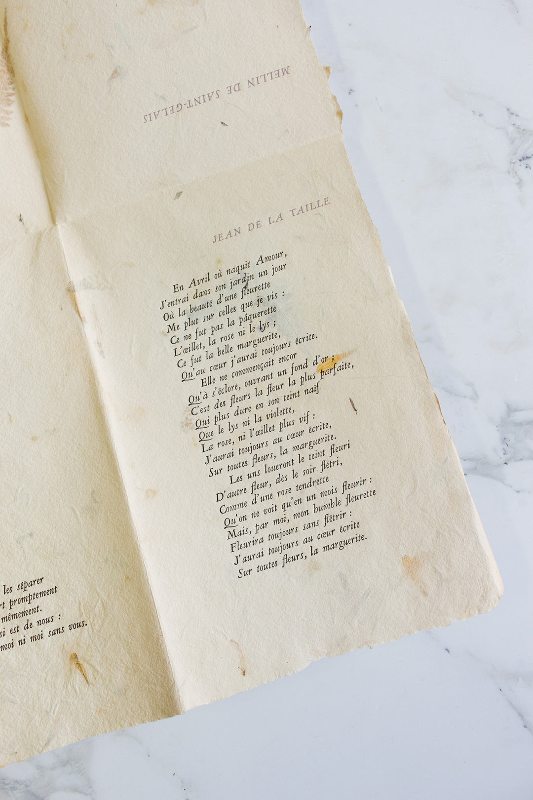 limited edition french "flora" book printed on handmade paper with real flowers