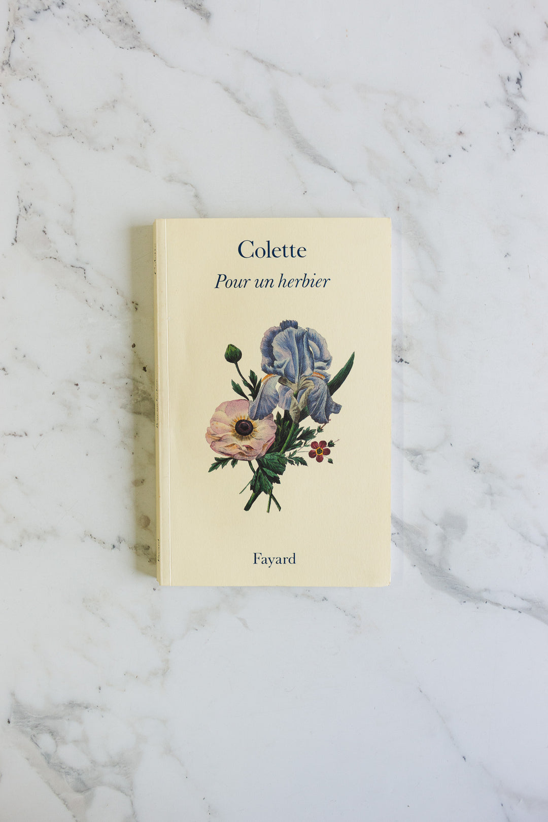 vintage french "pour un herbier" book by colette