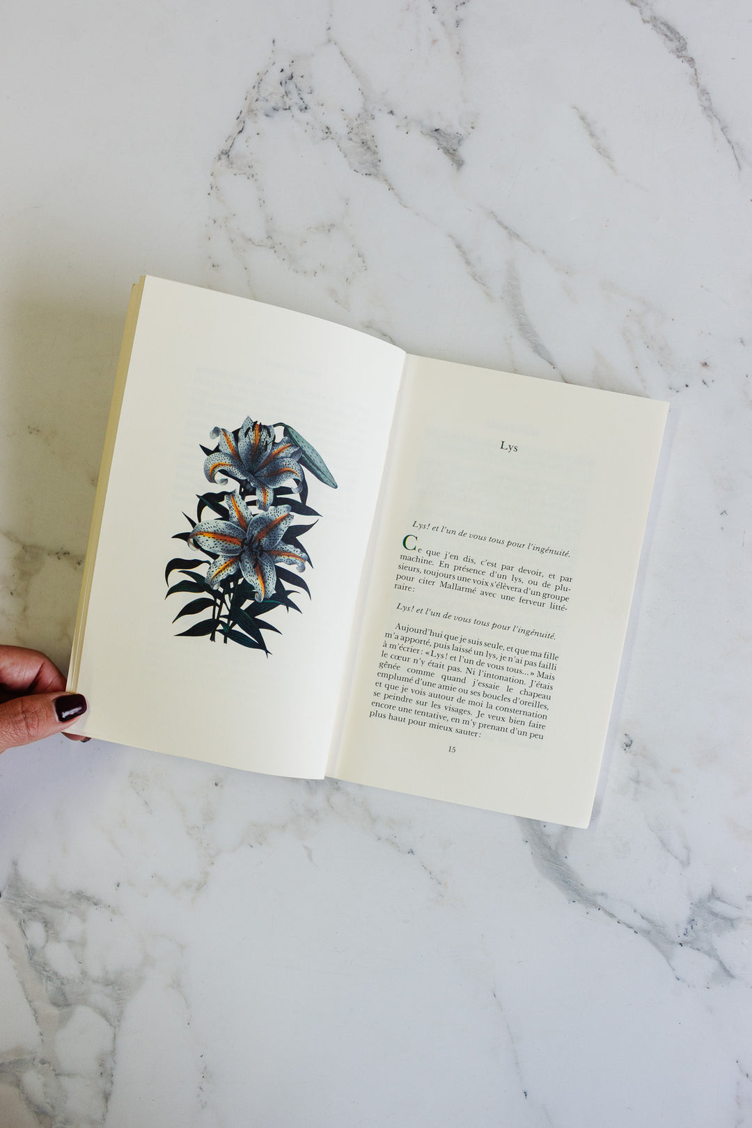 vintage french "pour un herbier" book by colette