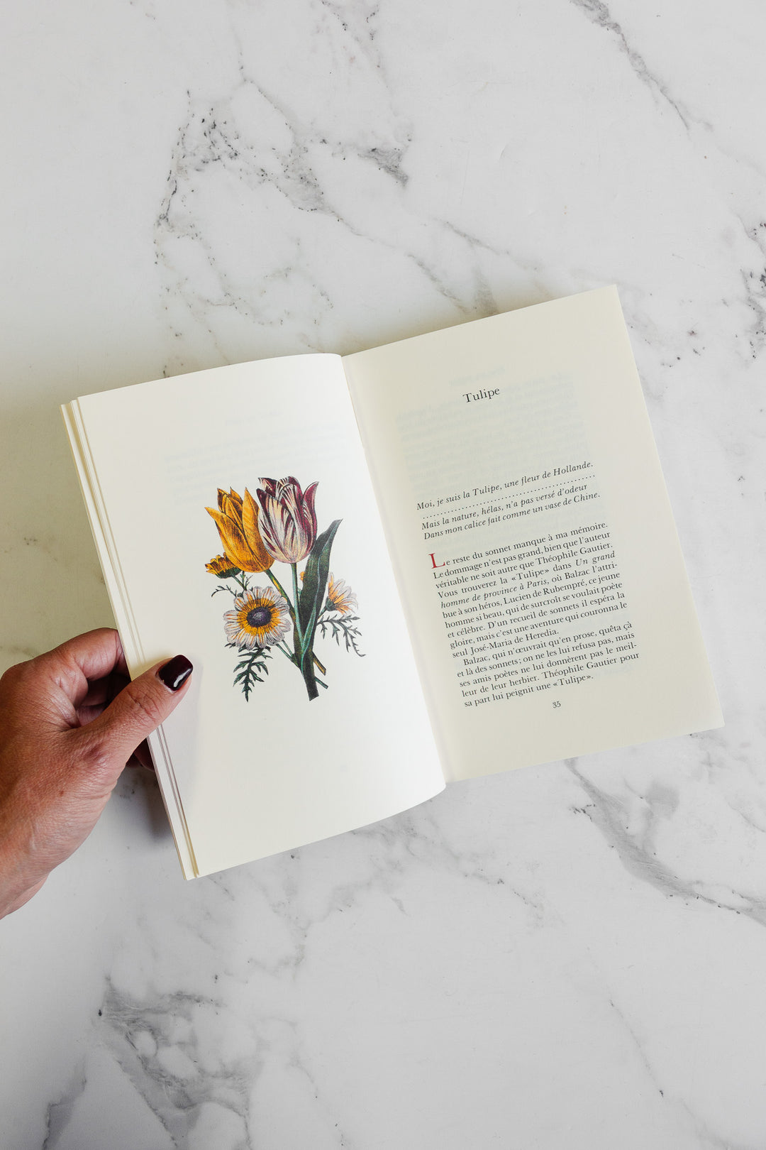 vintage french "pour un herbier" book by colette