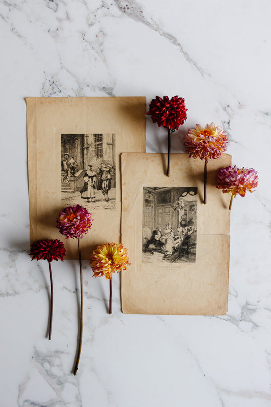 pair of antique French engravings