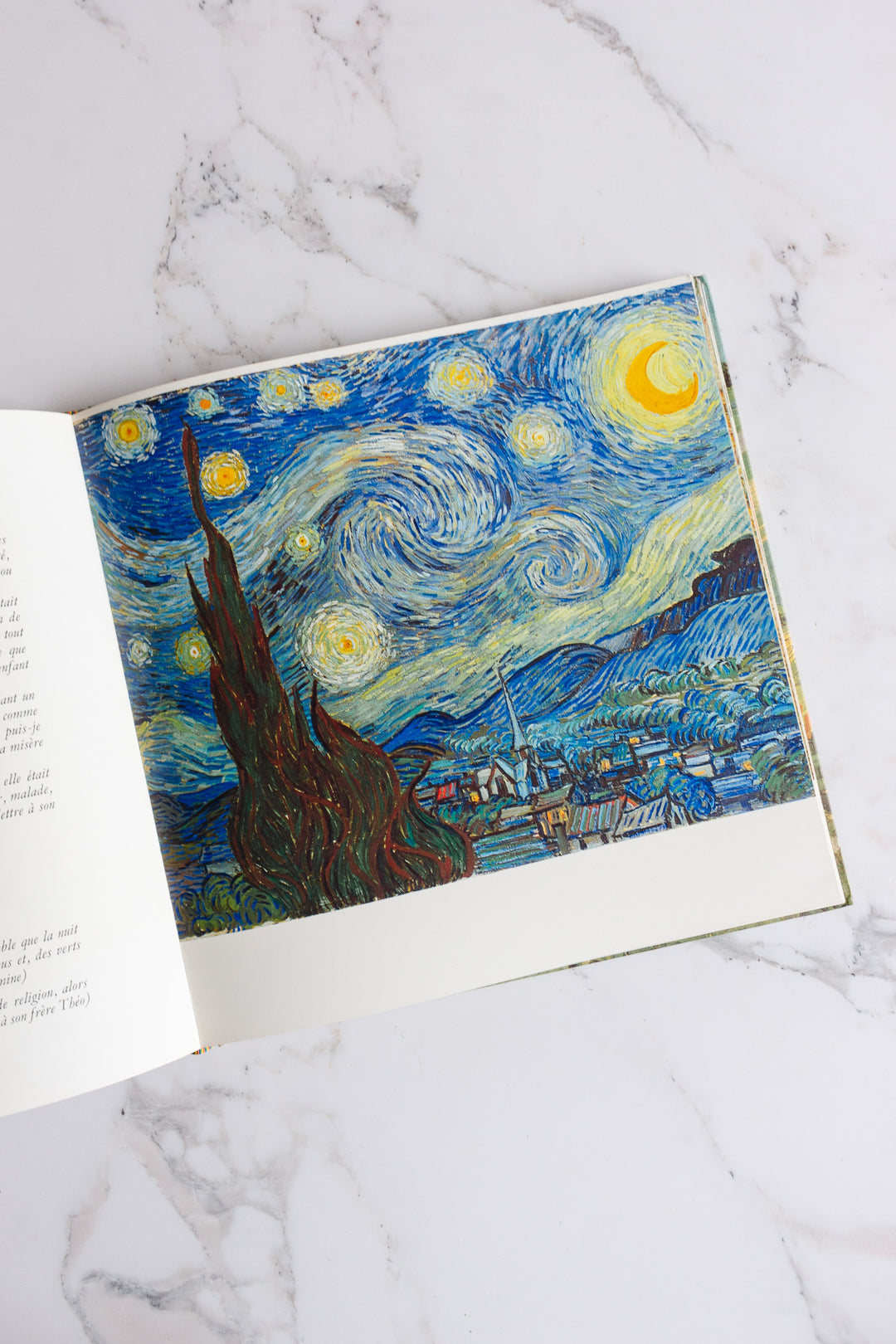 vintage French art book, “van gogh”