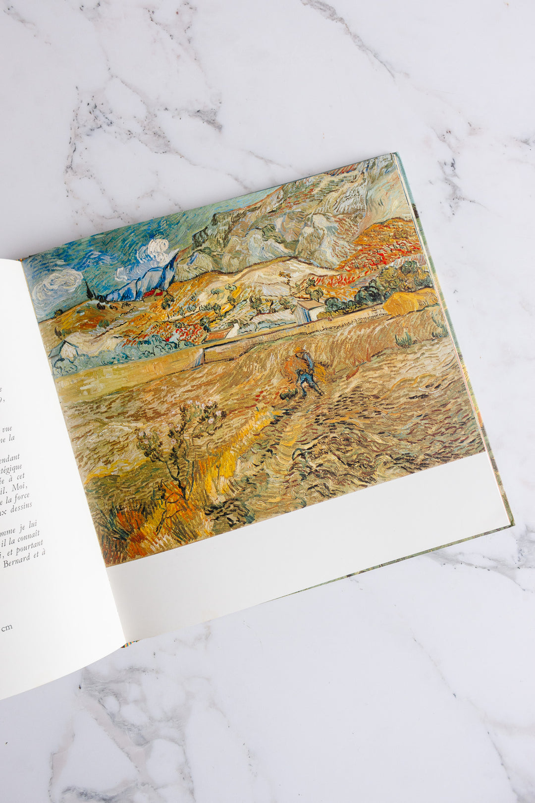 vintage French art book, “van gogh”