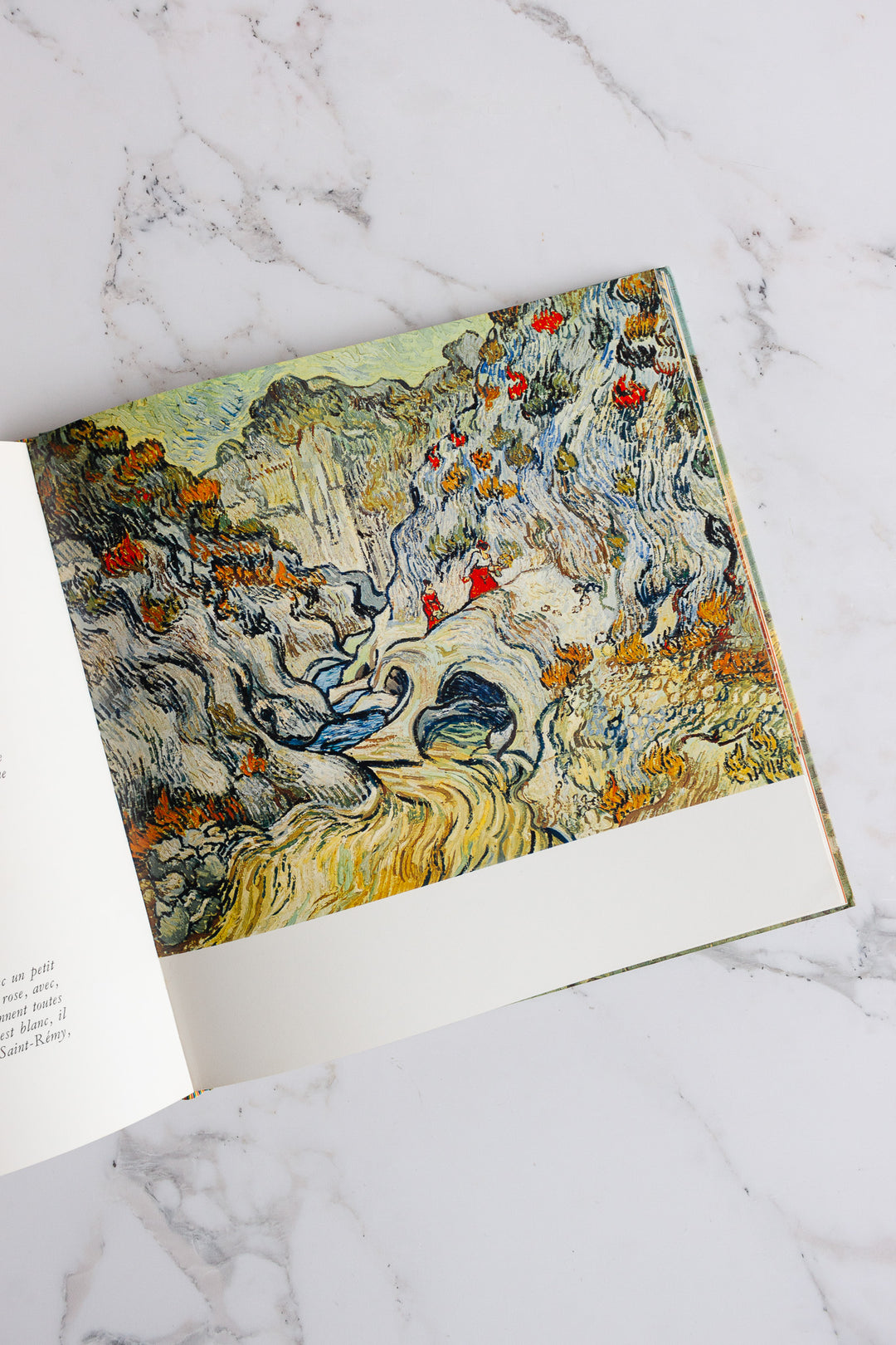 vintage French art book, “van gogh”