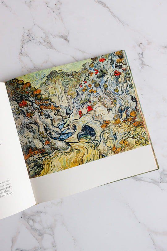 vintage French art book, “van gogh”
