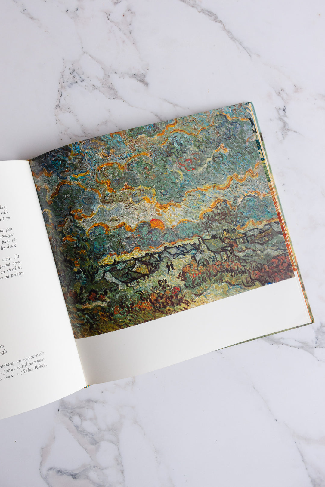 vintage French art book, “van gogh”