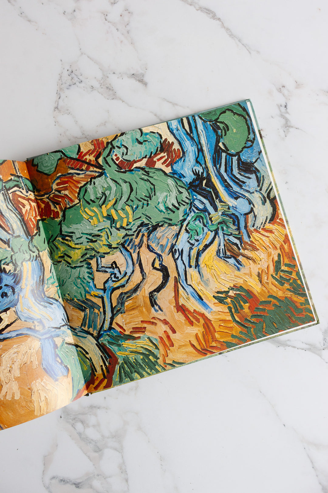 vintage French art book, “van gogh”