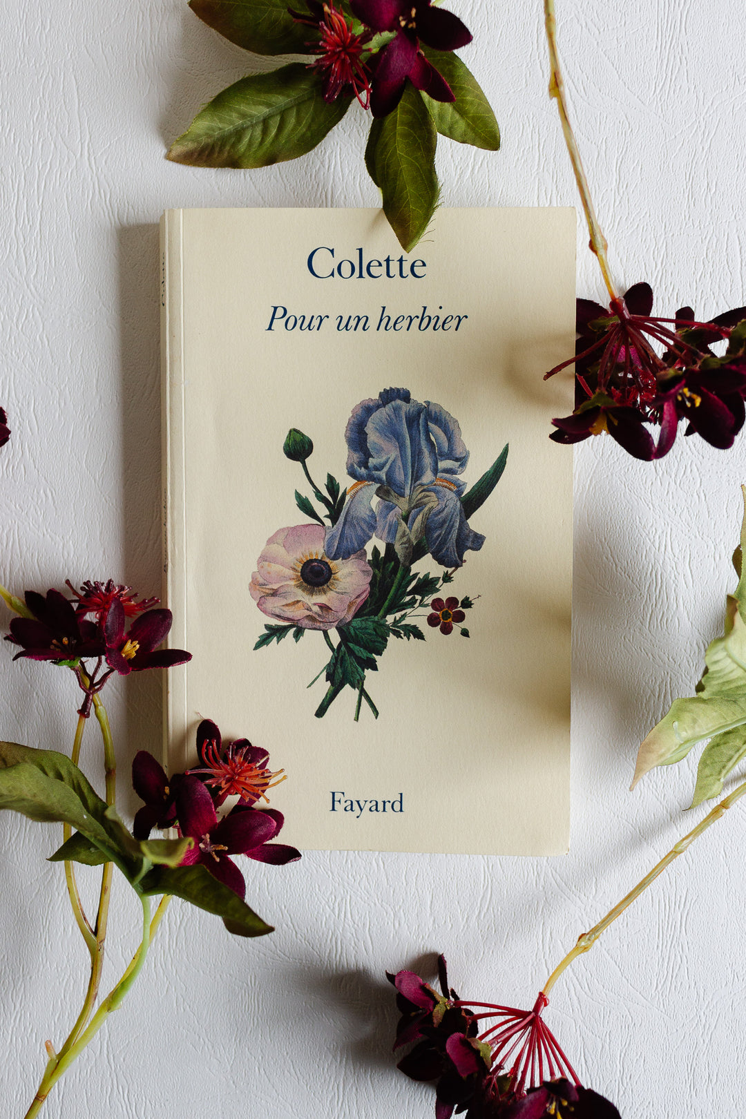 vintage french "pour un herbier" book by colette