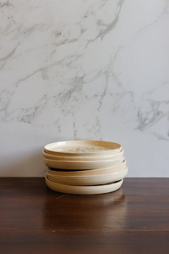 vintage french hand painted artisanal botanical plates, set of 6