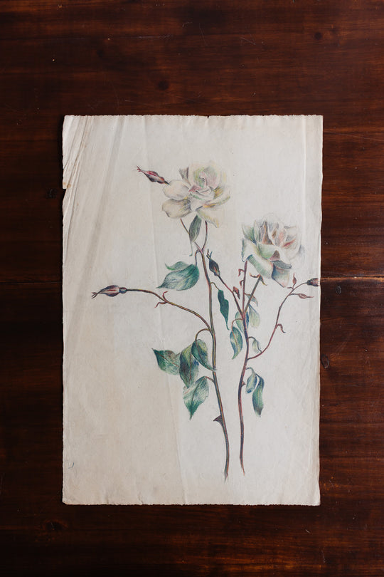 floral study by jeanne
