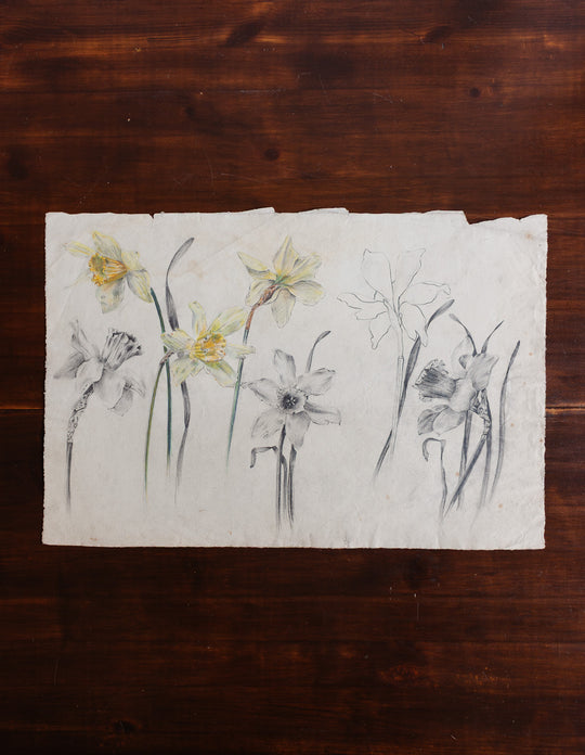 floral study by jeanne