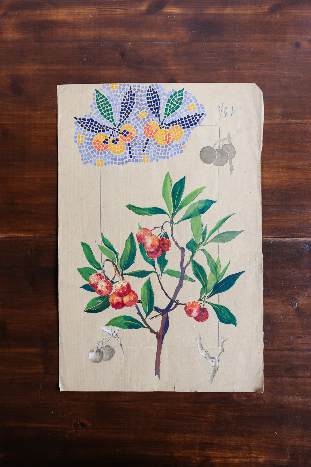arbutus unedo