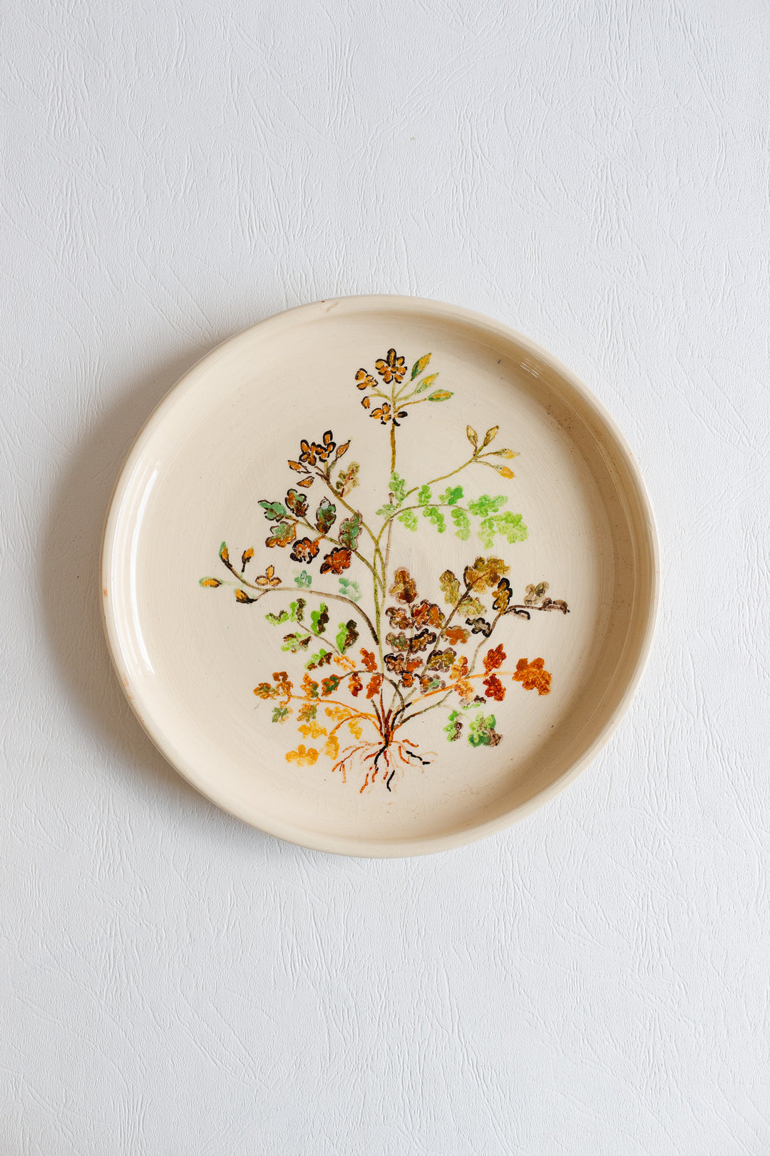 vintage french artisanal "les racines" dinner plates, set of 7