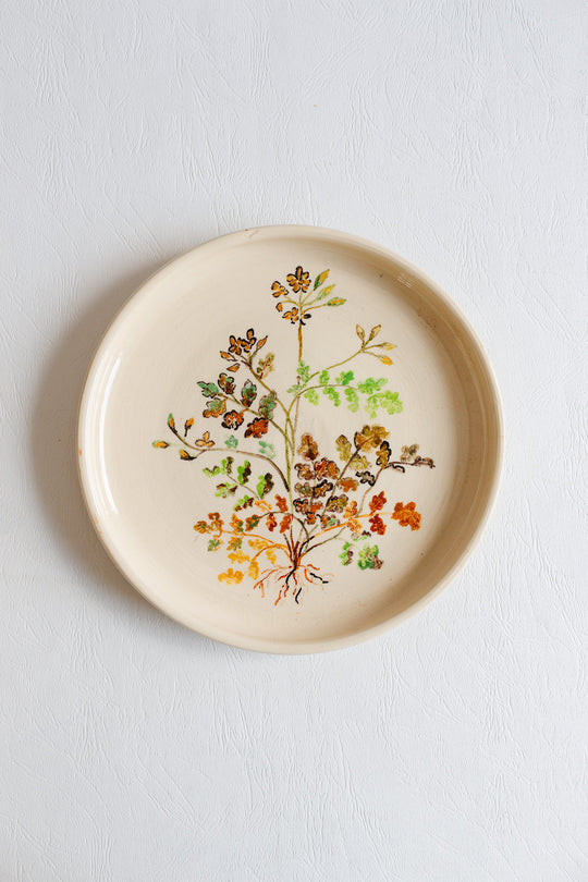 vintage french artisanal "les racines" dinner plates, set of 7