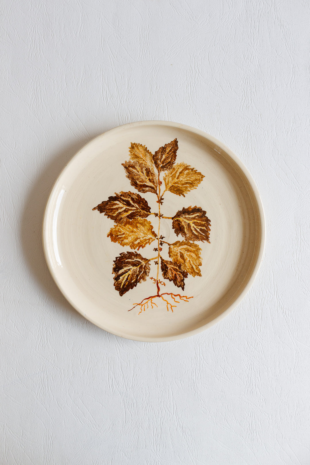 vintage french artisanal "les racines" dinner plates, set of 7