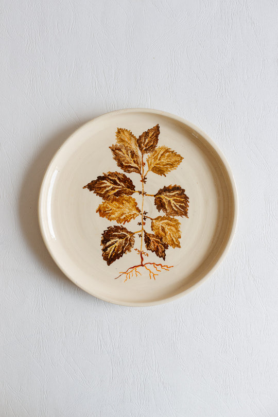 vintage french artisanal "les racines" dinner plates, set of 7