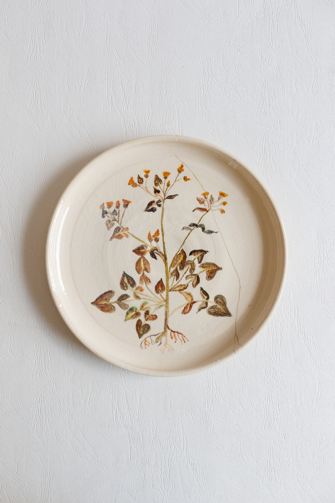 vintage french artisanal "les racines" dinner plates, set of 7