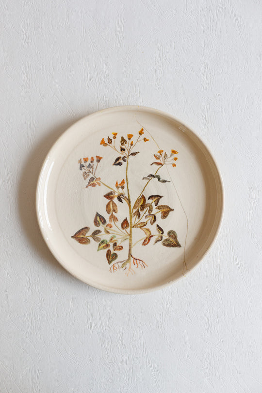 vintage french artisanal "les racines" dinner plates, set of 7