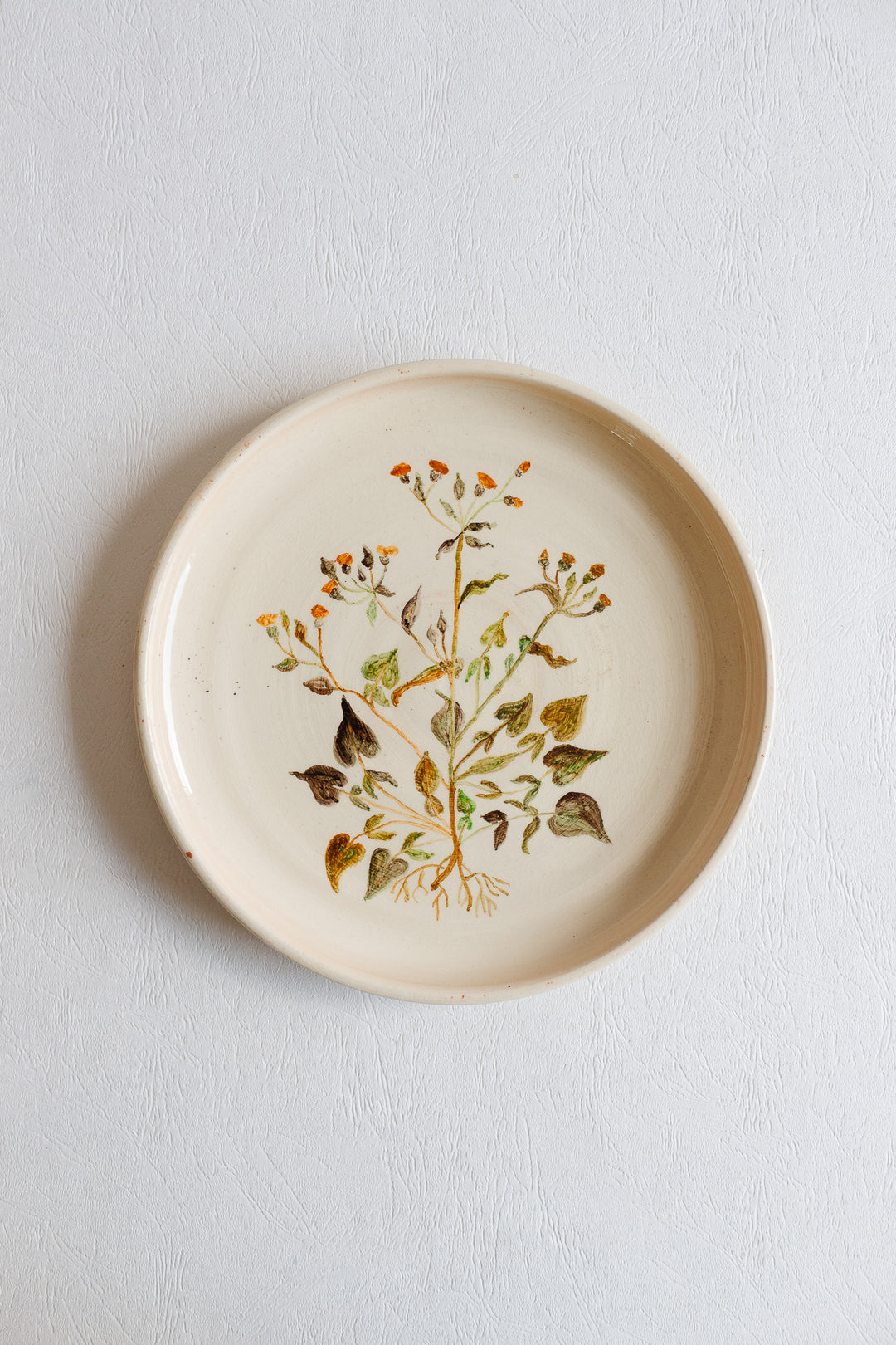 vintage french artisanal "les racines" dinner plates, set of 7