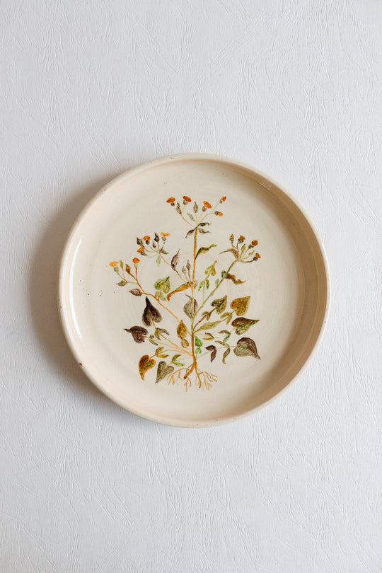vintage french artisanal "les racines" dinner plates, set of 7