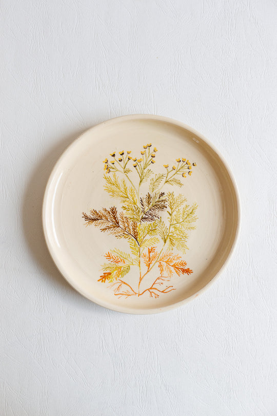vintage french artisanal "les racines" dinner plates, set of 7