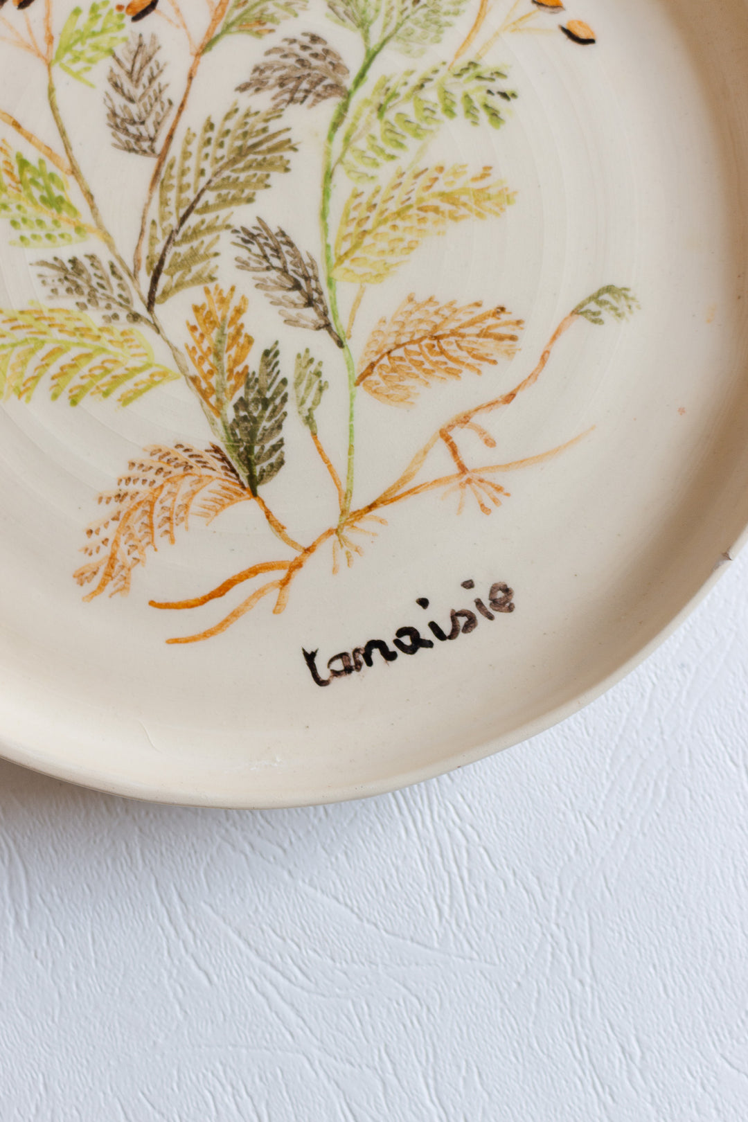 vintage french hand painted artisanal botanical plates, set of 6