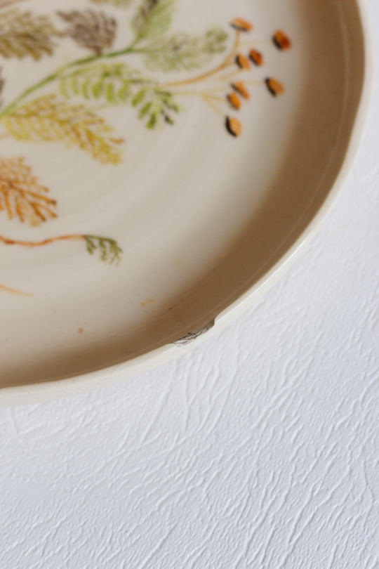 vintage french hand painted artisanal botanical plates, set of 6
