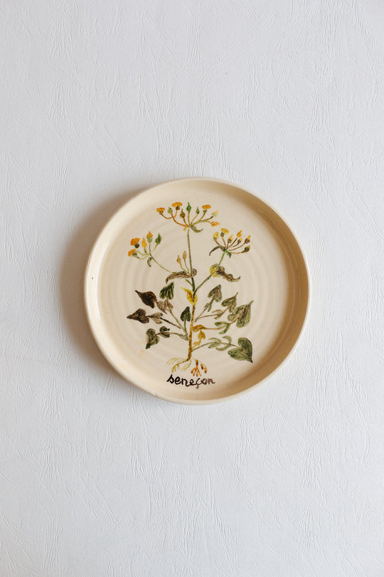 vintage french hand painted artisanal botanical plates, set of 6