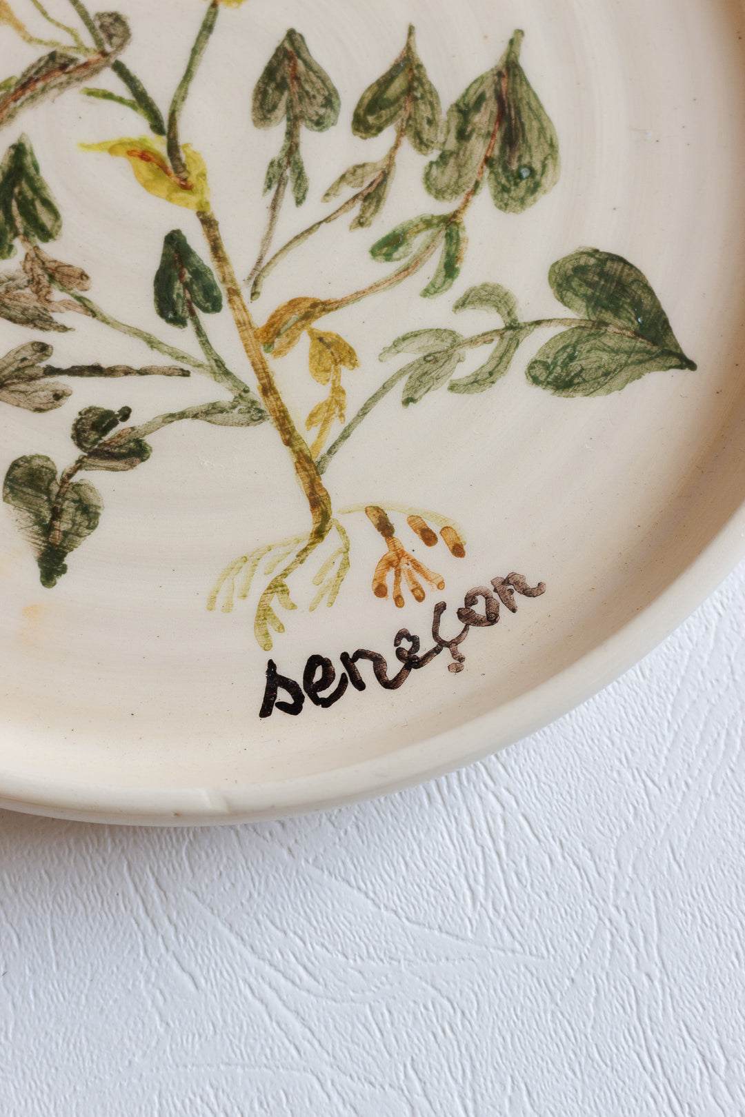 vintage french hand painted artisanal botanical plates, set of 6