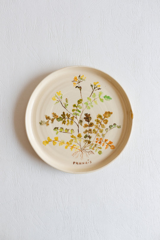vintage french hand painted artisanal botanical plates, set of 6