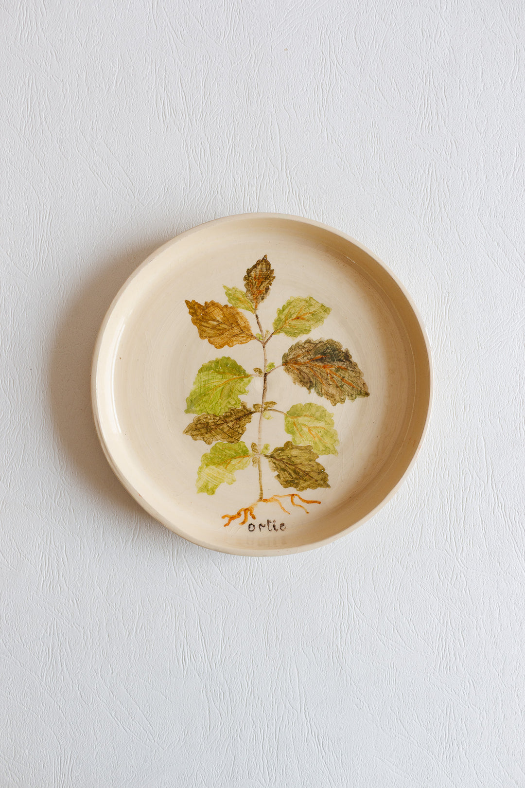 vintage french hand painted artisanal botanical plates, set of 6