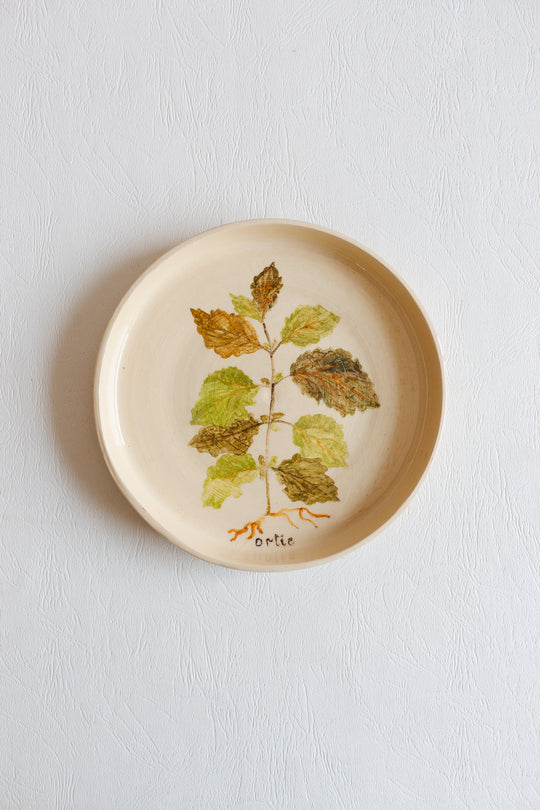 vintage french hand painted artisanal botanical plates, set of 6