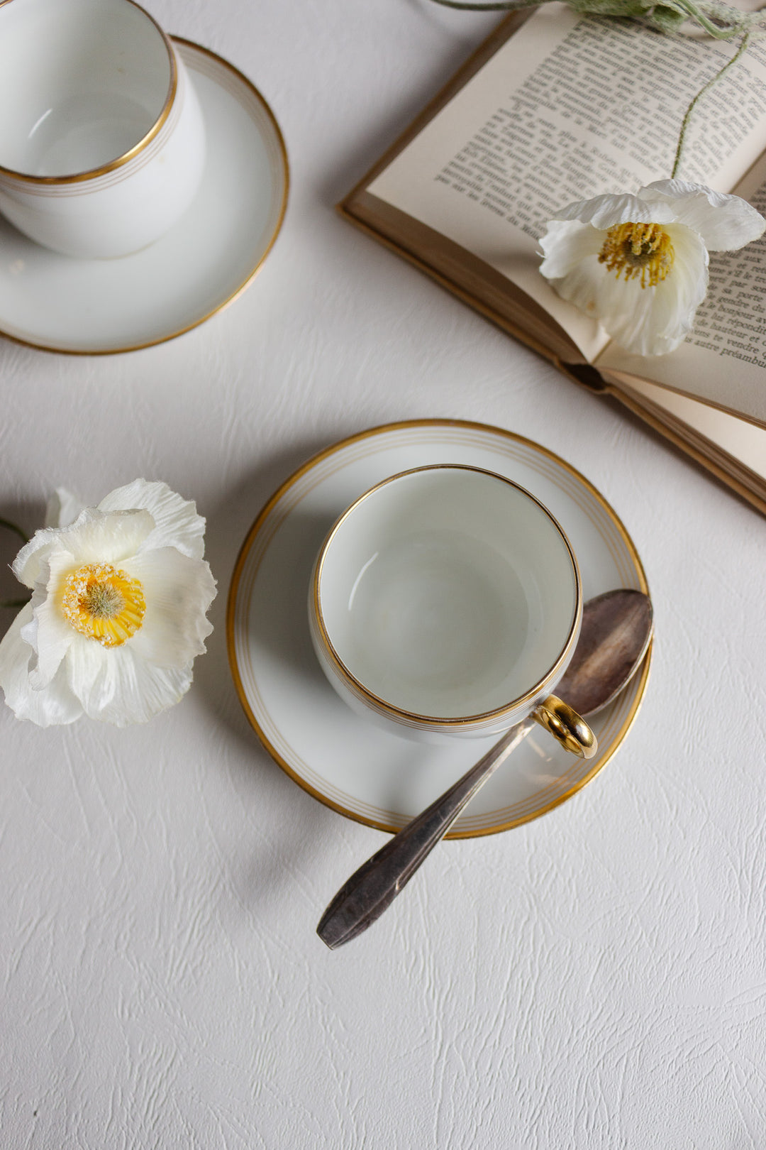 pair of wm. Guérin & co. limoges tea cups