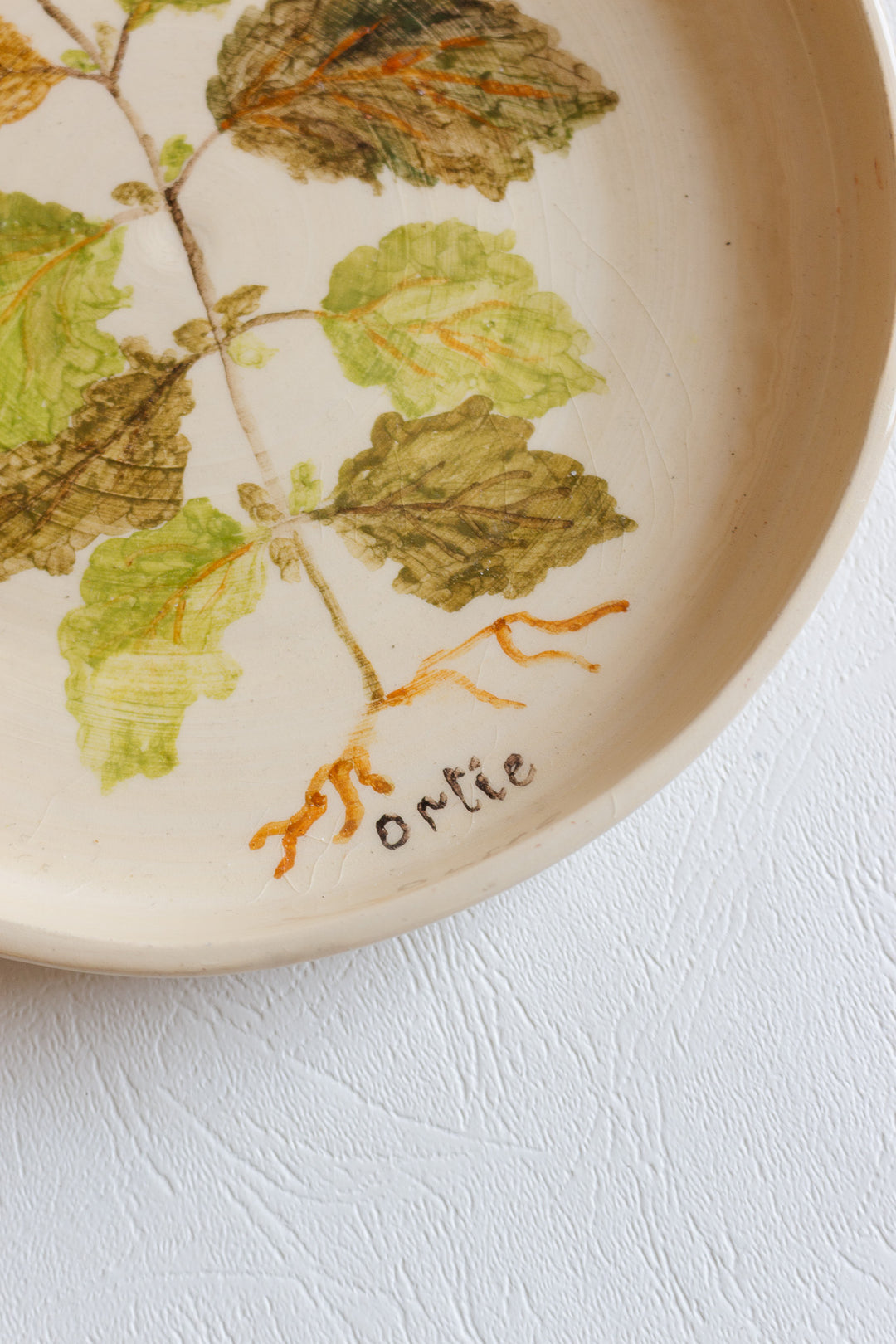 vintage french hand painted artisanal botanical plates, set of 6