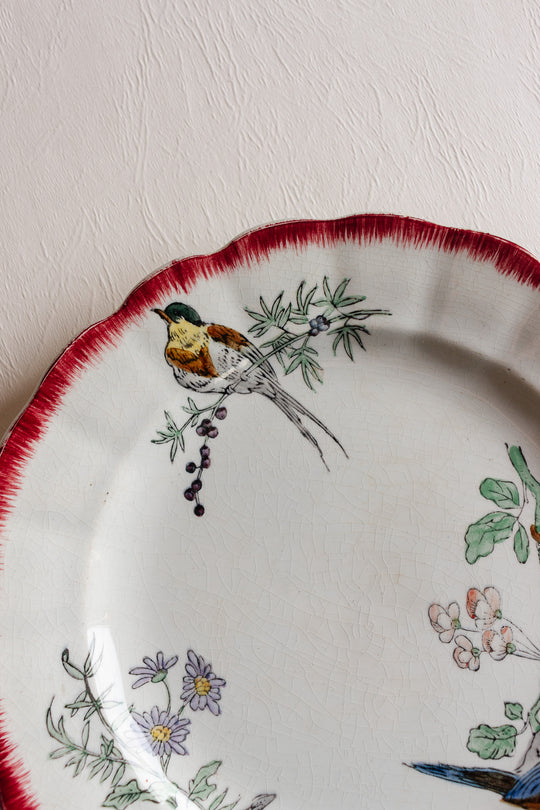 pair of antique french choisy le roi polychrome "oiseaux" plates