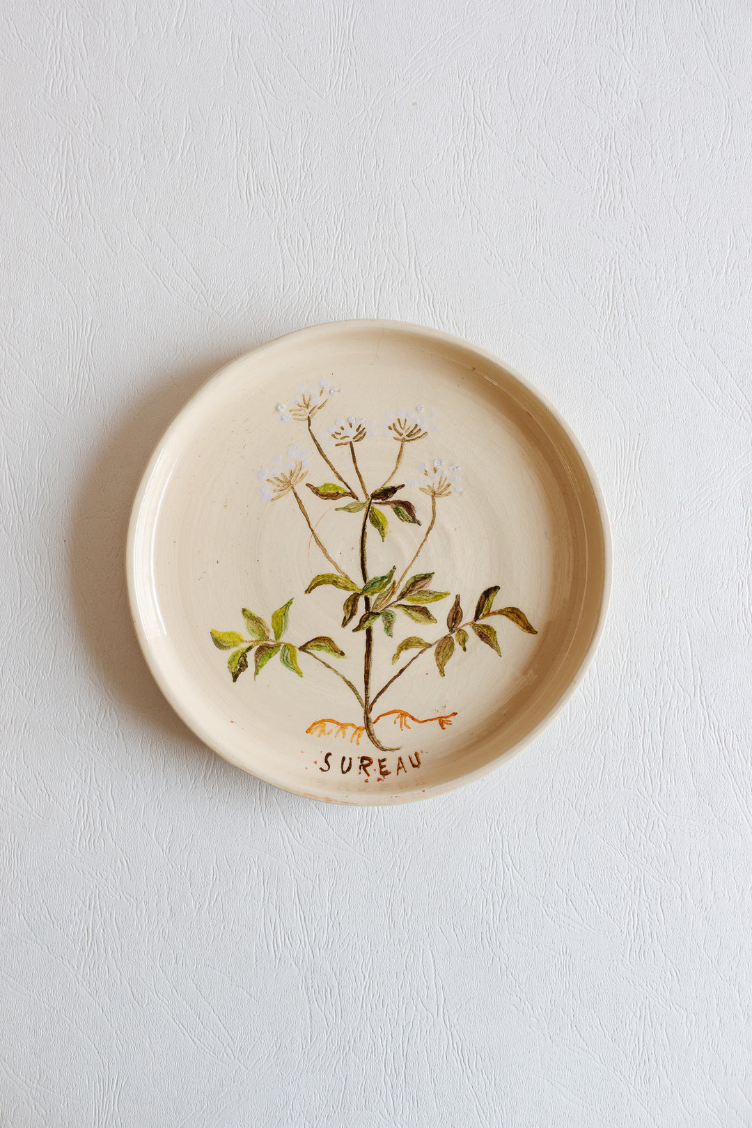 vintage french hand painted artisanal botanical plates, set of 6