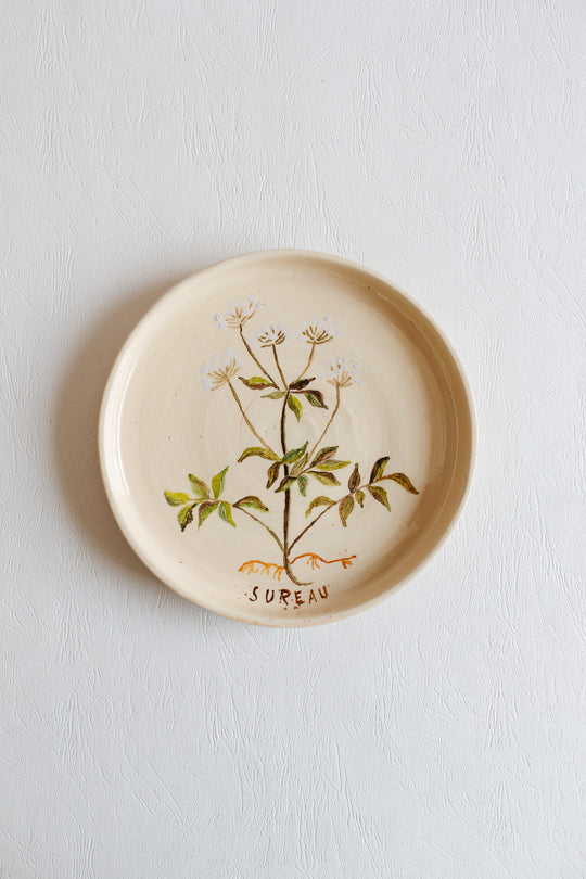 vintage french hand painted artisanal botanical plates, set of 6