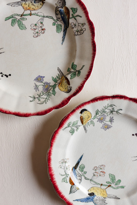 pair of antique french choisy le roi polychrome "oiseaux" plates