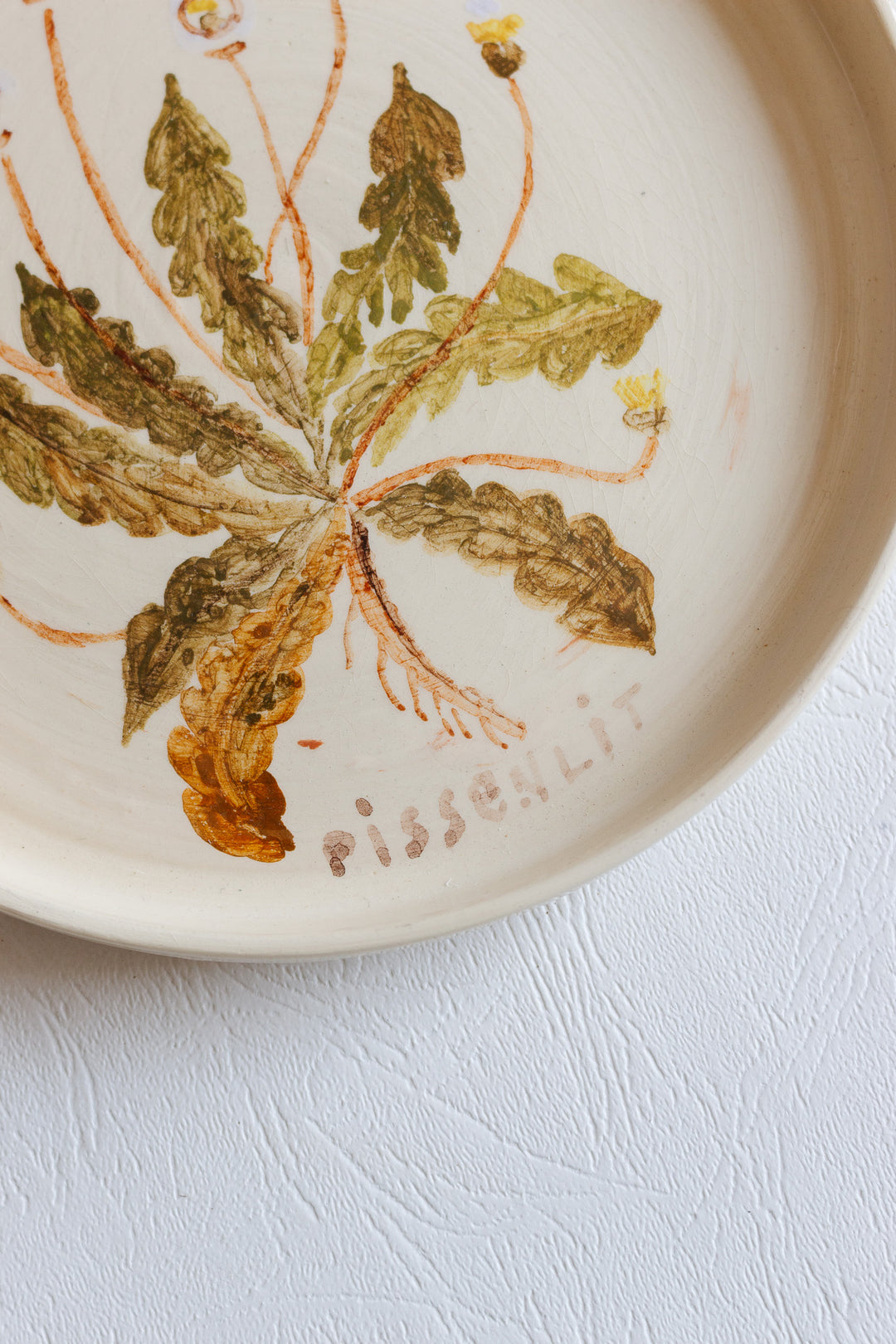 vintage french hand painted artisanal botanical plates, set of 6