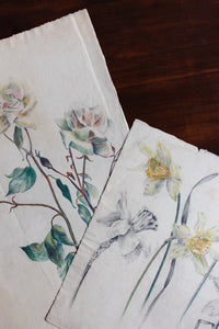 floral study by jeanne